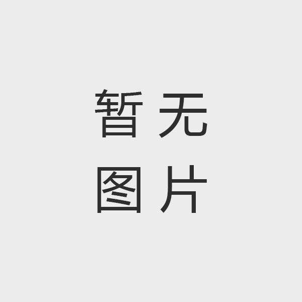 中国中部区域经济发展研讨会召开：推动中原经济社会实现跨越式发展