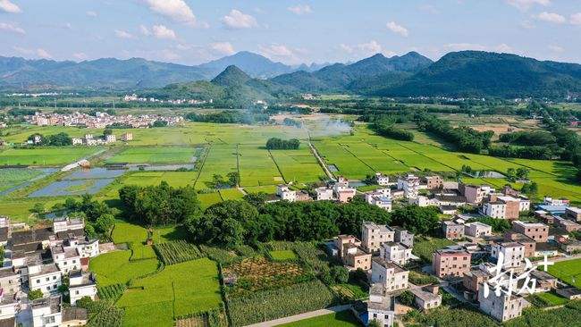 全国乡村振兴局长会议：“四个坚持五个抓手六项措施”