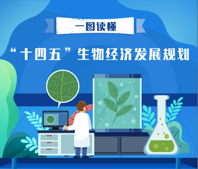 一图读懂 | “十四五”生物经济发展规划