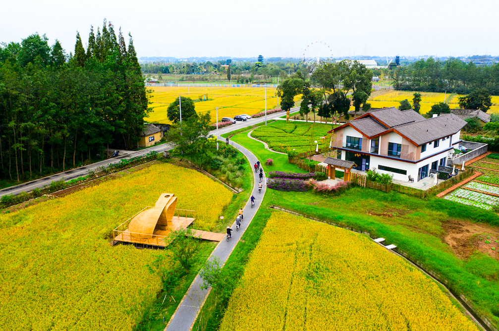 推进县城建设须强化需求导向