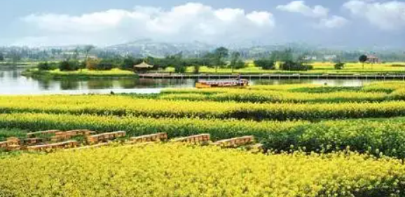 特色农旅产业助推乡村振兴