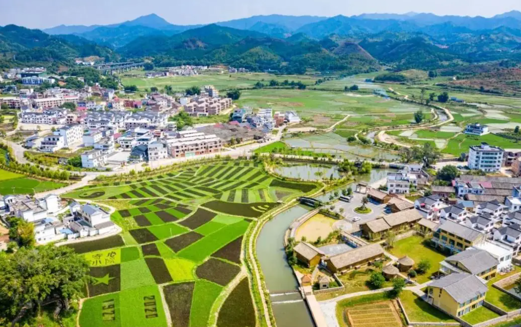 绘出乡村建设最美路线图
