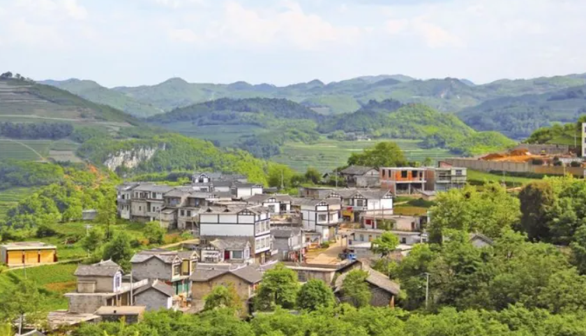 推进乡村建设行动重在扬优势补短板