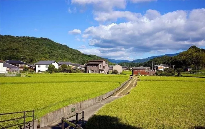 发展乡村旅游 亟待打造地域品牌