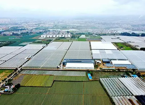 “双碳”目标下 云南经济加速转型升级