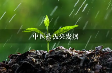 持续依法推动中医药振兴发展