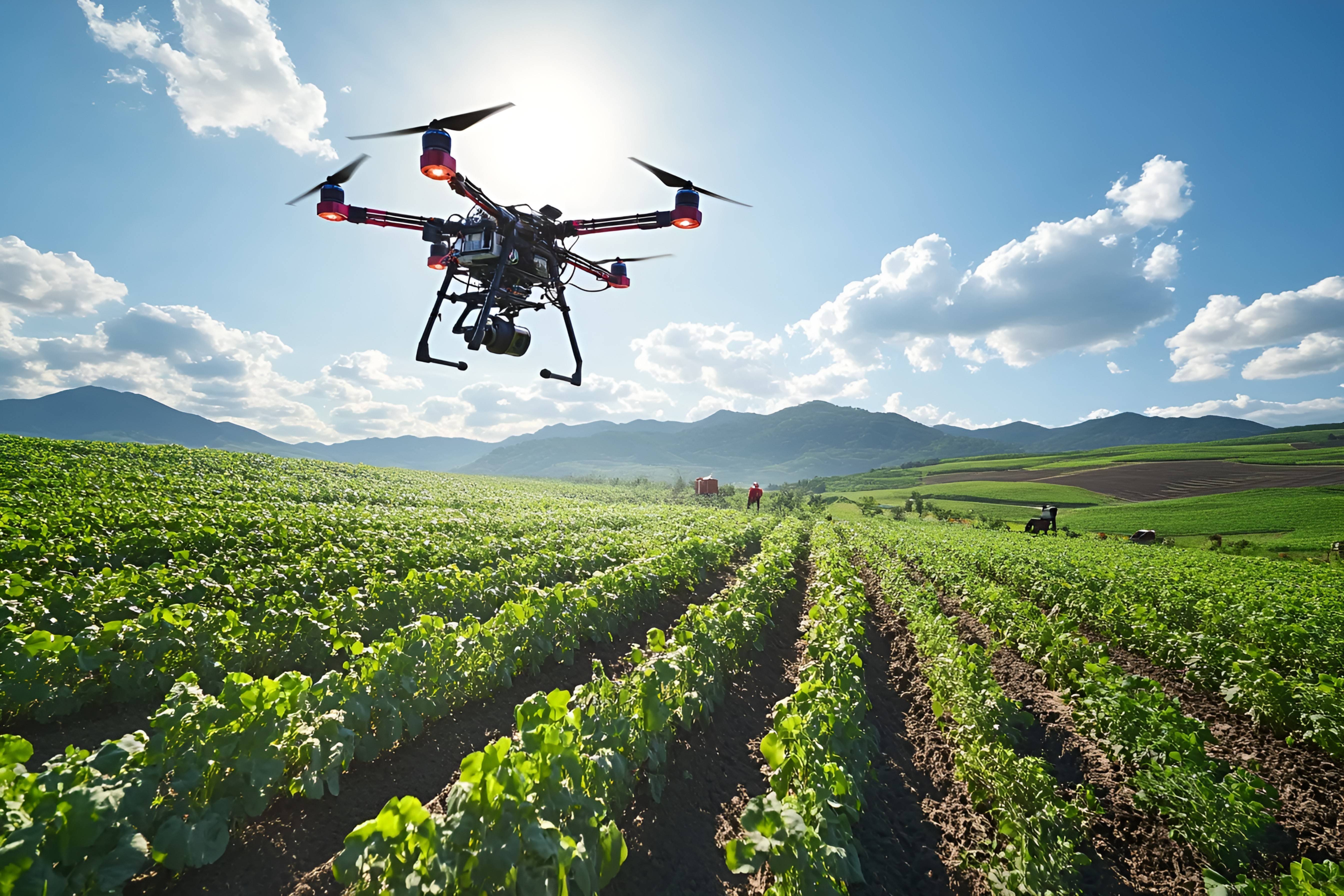 1763629523178801.jpeg 1763629523178801.jpeg